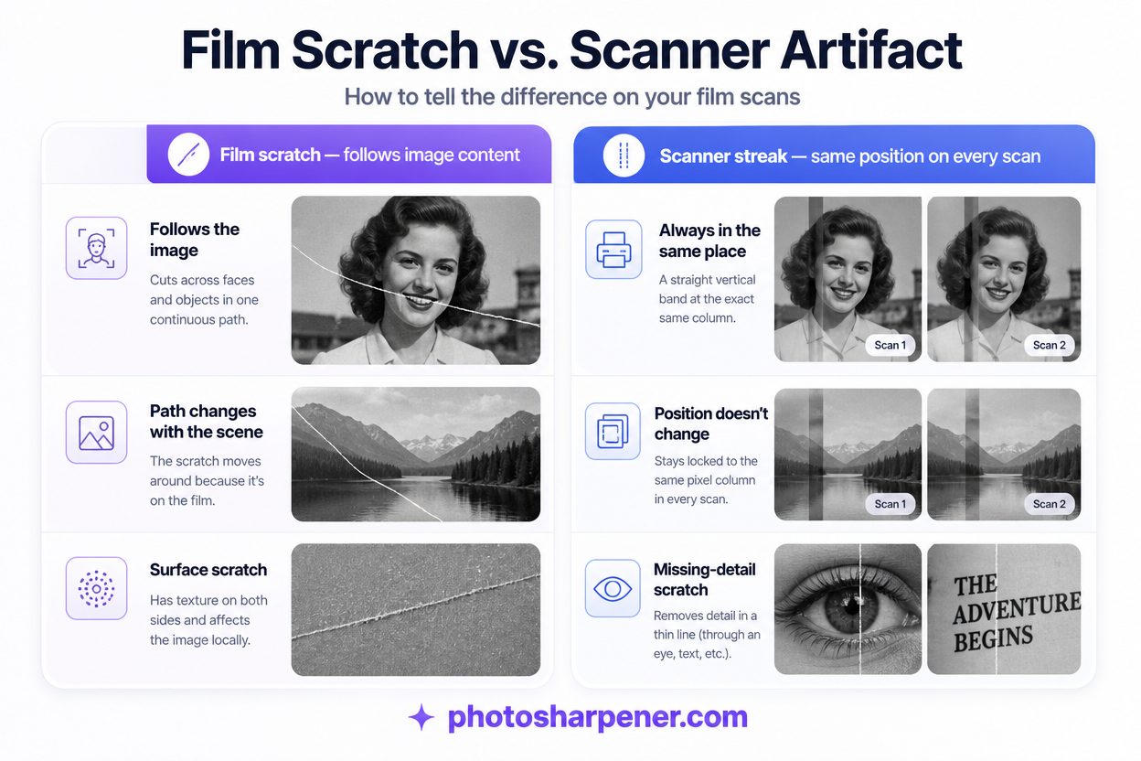 Infographic comparing real film scratch versus scanner artifact on film scans