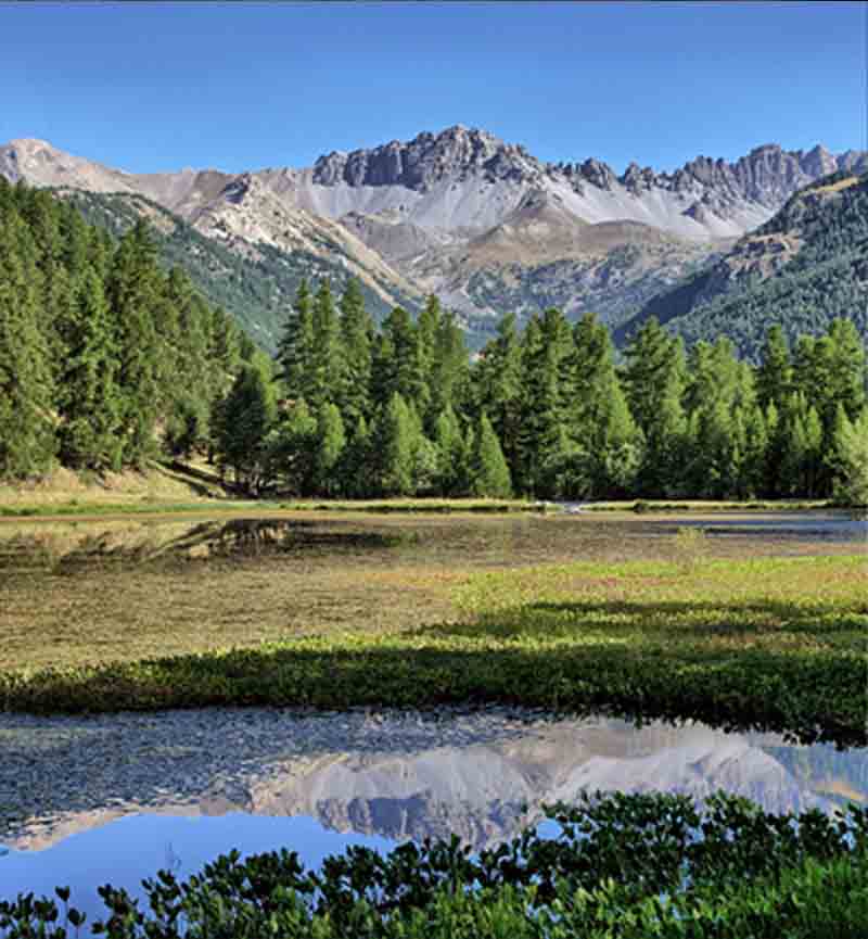 Paisaje antes y después before