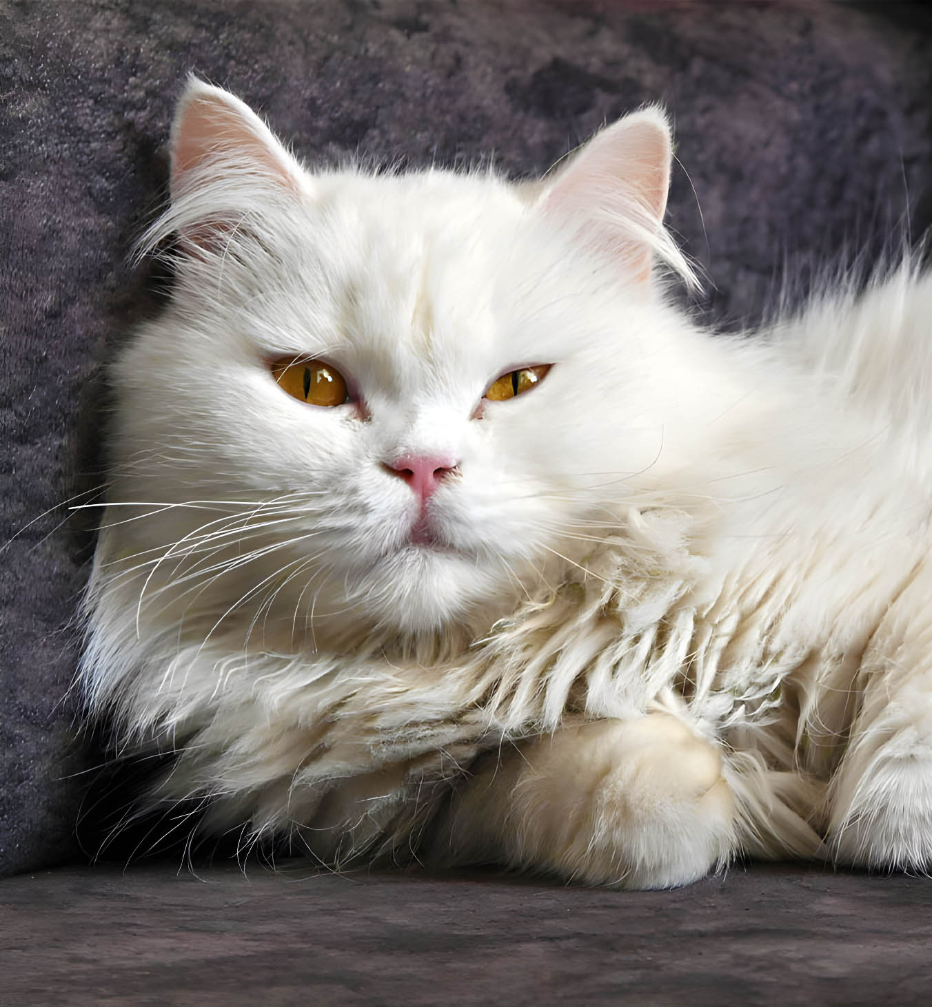 Wildlife photo enlarged with AI upscaling — after